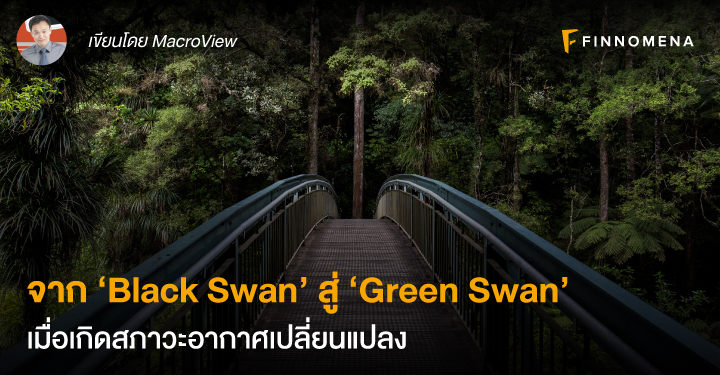 จาก ‘Black Swan’ สู่ ‘Green Swan’