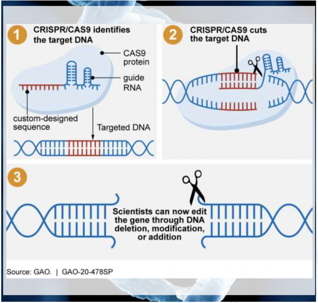 รีวิวกองทุน TGENOME และ ARKG: เมื่อสุขภาพและเทคโนโลยีถึงคราวมาบรรจบกัน ...